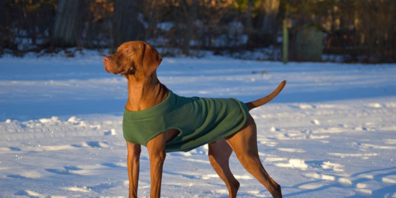 alerta roja nieve AEMET